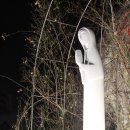 수원교구 중앙성당 이미지