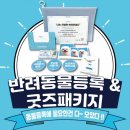펫콤동물병원