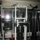 다이나포스헬스클럽 이미지