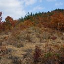 몬주익 영웅 이미지