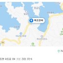 백조민박 이미지