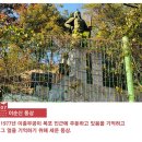 유달초등학교 이미지