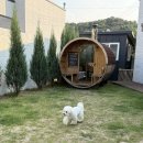 힐스톤애견풀빌라