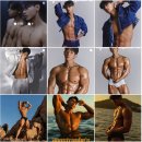 탠다이브