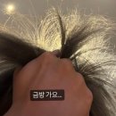 미소풀하우스 | 삐부닉 타임_후기(1)