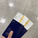 로드 투 짐 | 천안보험설계사의 도쿄 여행 1일차 (나리타 공항, 렘 롯폰기, 아후리라멘, 불고기 433, 곤파치...