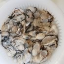 826 | 통영 생굴 배달 장보고닷컴에서~