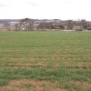 황골목장 이미지