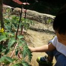 범준농장 이미지