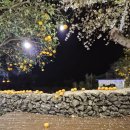 순심이네한우흑돼지 | 🙏[일상의 일탈] 도민 추천 금요 맛집 기행!!