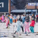 엘리시안 강촌 스키장 이미지