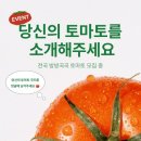 나이스토마토 이미지