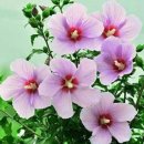 창원여자중학교 이미지