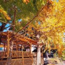 무주인게스트하우스 이미지