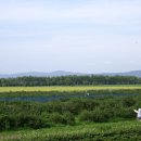 허니농장 이미지