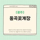 동곡 | [광주] 택시아저씨가 추천한 맛집 "동곡꽃게장" 후기
