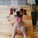 별난살롱 이미지