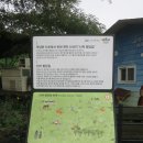 난산복지회관(난산리사무소) | 제주 30일차 제주밭담길(난산리 난미 밭담길) 2024.06.09