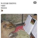 바라
