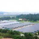 정수 태양광발전소 이미지