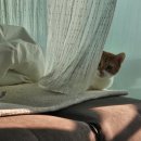 경기도 수원시 영통구 동수원로551번길 이미지