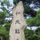 솔내음정원 네이버블로그