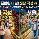 곡성교통 | 2026 장미축제 어디 갈까? 곡성·중랑 일정부터 주차 팁까지 총정리