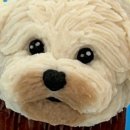 와들스 케이크 이미지