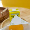 세신샵 봄날 이미지