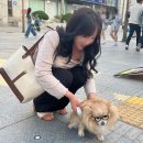 정화미용실 | 의정부 미용실 , 금오동 미용실 염색후기 [트리니티헤어금오점]