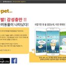 주식회사 헬로스튜디오 이미지