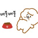 소도둑광주상무점 이미지