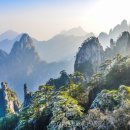 ㈜ 현대항공여행사 이미지