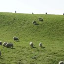 자유목장 이미지