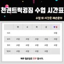 천권태권도장 이미지