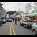 상남동229 이미지