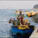 정치망민박 이미지