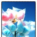 솜사탕PC 이미지