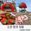 김용빈농장 | [충남/논산]논산 딸기축제 2026 일정 총정리/체험 먹거리 공연까지/봄에 꼭 가봐야할충남대표축제...