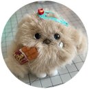 옛날통닭안동찜닭 이미지