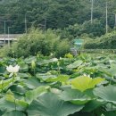 부산시설공단 곰내지소 이미지