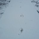 강서한강공원 이미지