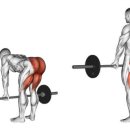 노브레이크PT헬스 이미지