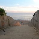 안면도발리 이미지