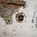 학산금성 이미지