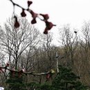 서리풀공원 이미지