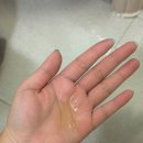 제닉 | 강아지 피부 관리 | 페노비스 엑소제닉 샴푸·미스트·겔 크림 사용 후기🫧