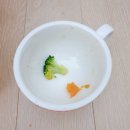 나니스펫푸드 이미지