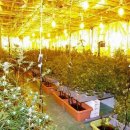 성실농장 이미지