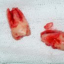 김병수치과의원 이미지